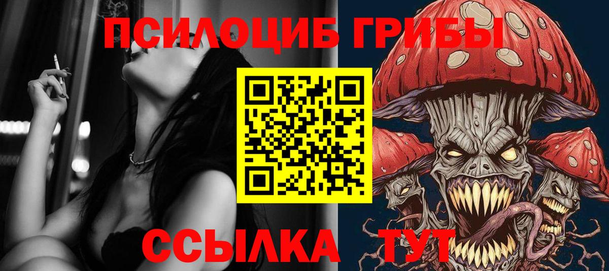 Галлюциногенные грибы MAGIC MUSHROOMS  купить наркотики сайты  Королёв  Вход с VPN 